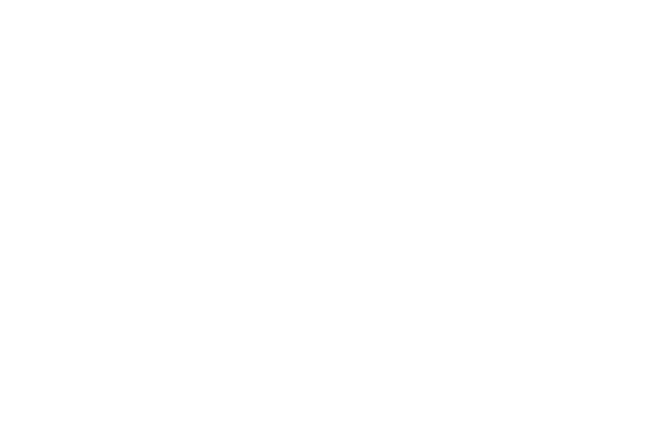 Pistole aria compressa