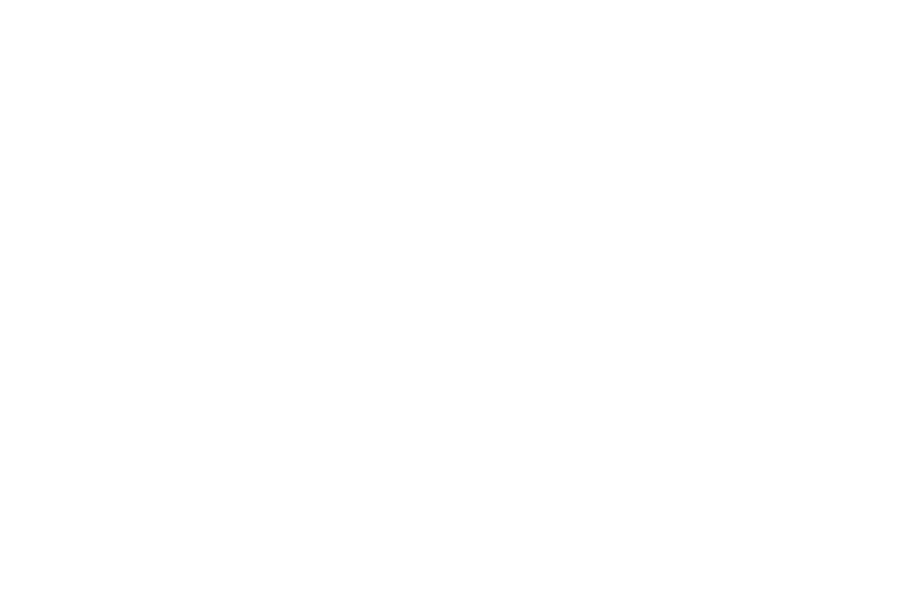 Revolver